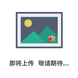 T-10MA 照度計(jì)